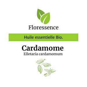 Huile essentielle Cardamome BIO PROMO – Floressence