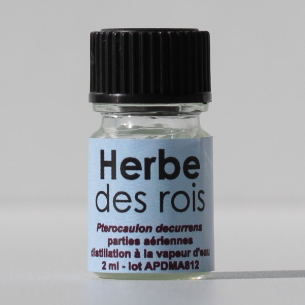 Herbe des rois Astérale
