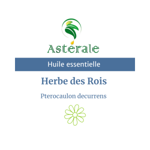 Huile essentielle Herbe des Rois- Astérale
