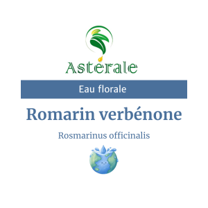 Eau florale Romarin Verbénone -Astérale