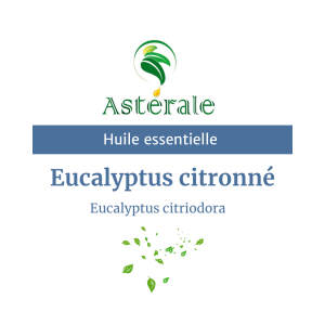 Huile essentielle Eucalyptus Citronné – Astérale