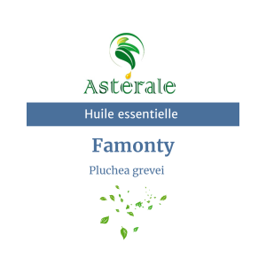 Huile essentielle Famonty – Astérale