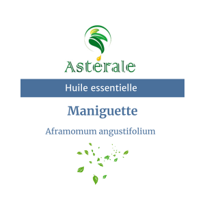Huile essentielle Maniguette fine – Astérale