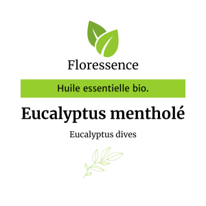 Huile essentielle Eucalyptus mentholé BIO – Floressence