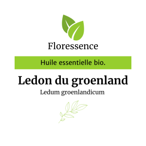 Huile essentielle Lédon du Groenland BIO – Floressence