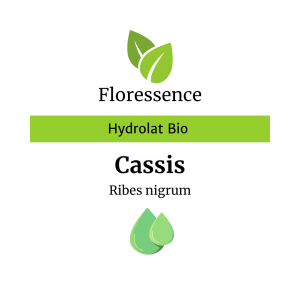 Hydrolat Cassis BIO – Floressence