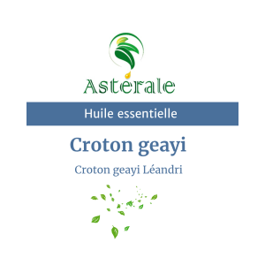 Huile essentielle Croton geayi – Astérale