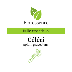 Huile essentielle Céleri PROMO – Floressence