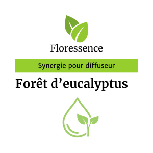 Synergie Forêt d’eucalyptus BIO – Floressence