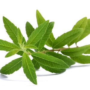 Verveine odorante – 20gr