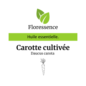 Huile essentielle Carotte cultivée PROMO – Floressence