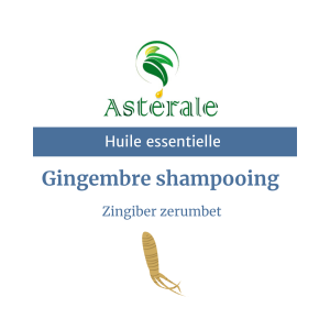 Huile essentielle Gingembre shampooing – Astérale
