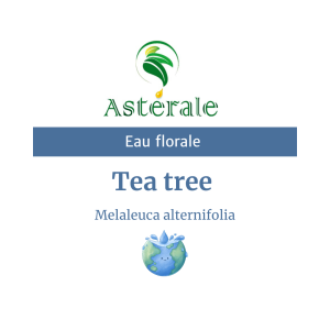 Eau florale Tea tree – Astérale