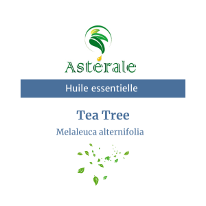 Huile essentielle Tea tree | 10 ml- Astérale