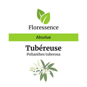 Tubéreuse Abs. – Floressence