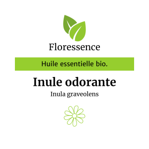 Huile essentielle Inule odorante Bio – Floressence