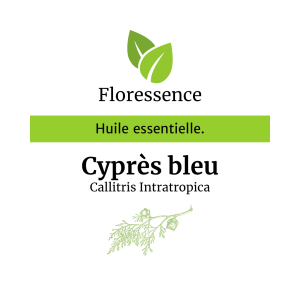 Huile essentielle Cyprès bleu – Floressence