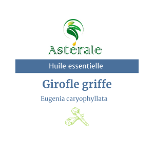 Huile essentielle Girofle griffe 10ml – Astérale