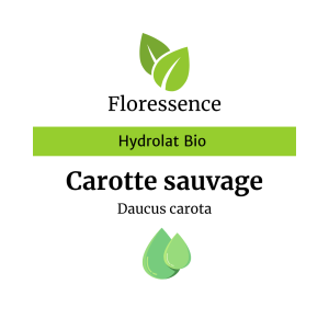 Hydrolat Carotte sauvage BIO – Floressence