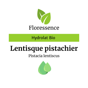 Hydrolat Lentisque pistachier Bio – Floressence
