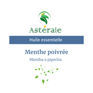 Huile essentielle Menthe Poivrée – Astérale
